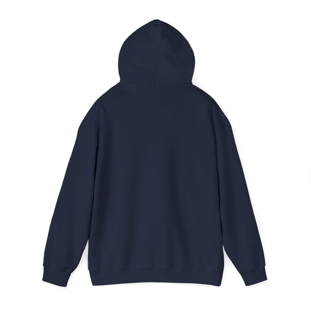 Navy blue hoodie  back