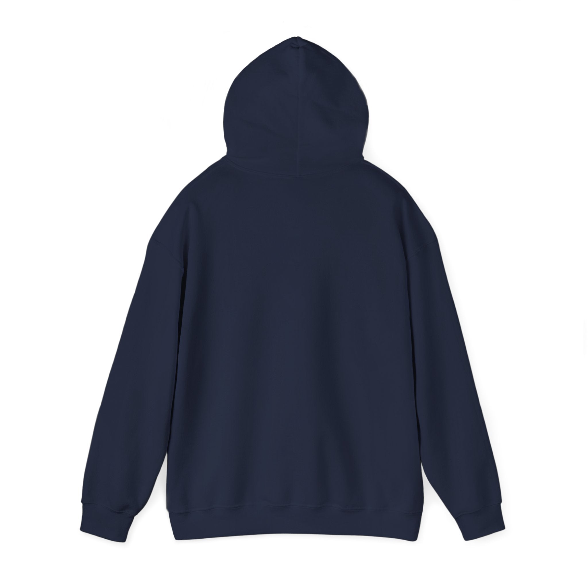 Navy blue hoodie  back