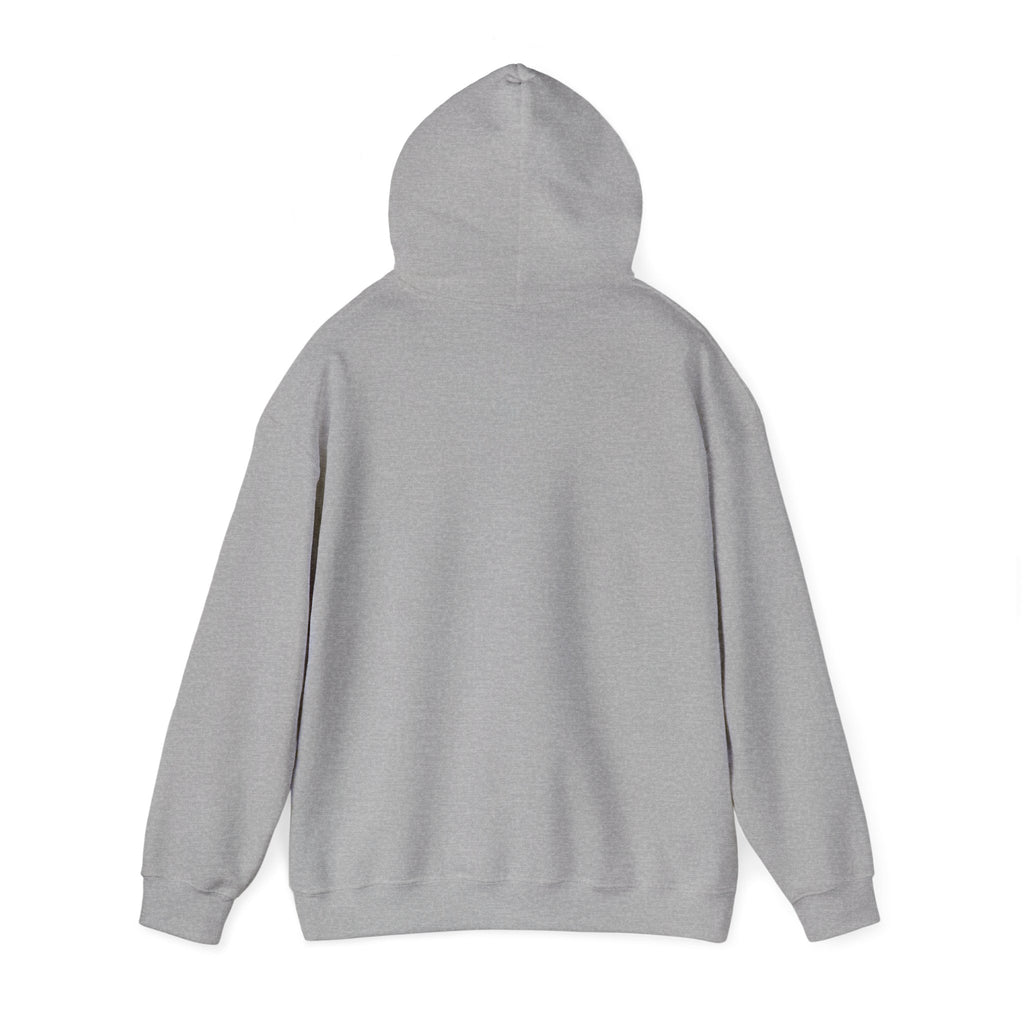 Sports Gray hoodie back