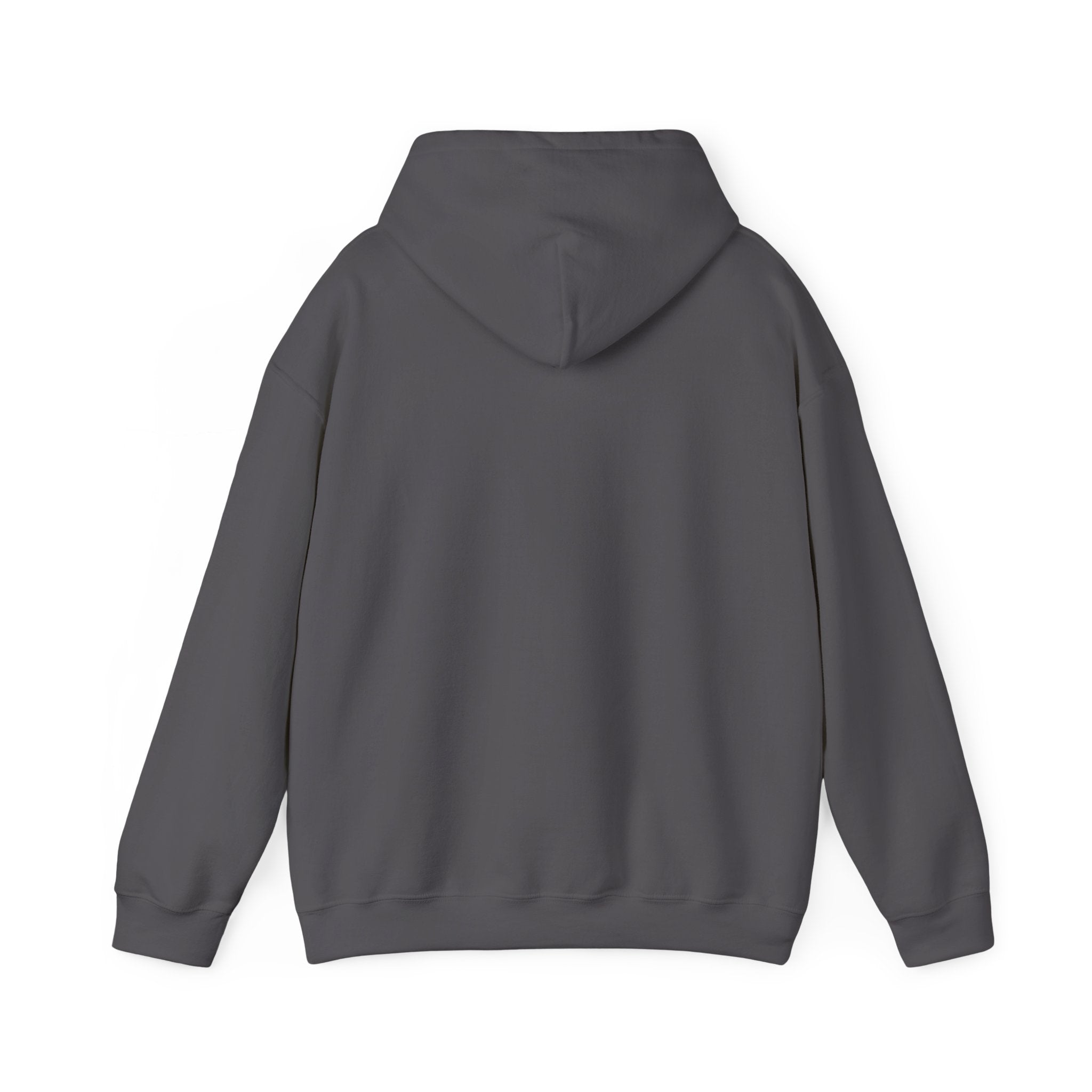 Charcoal Gray hoodie back