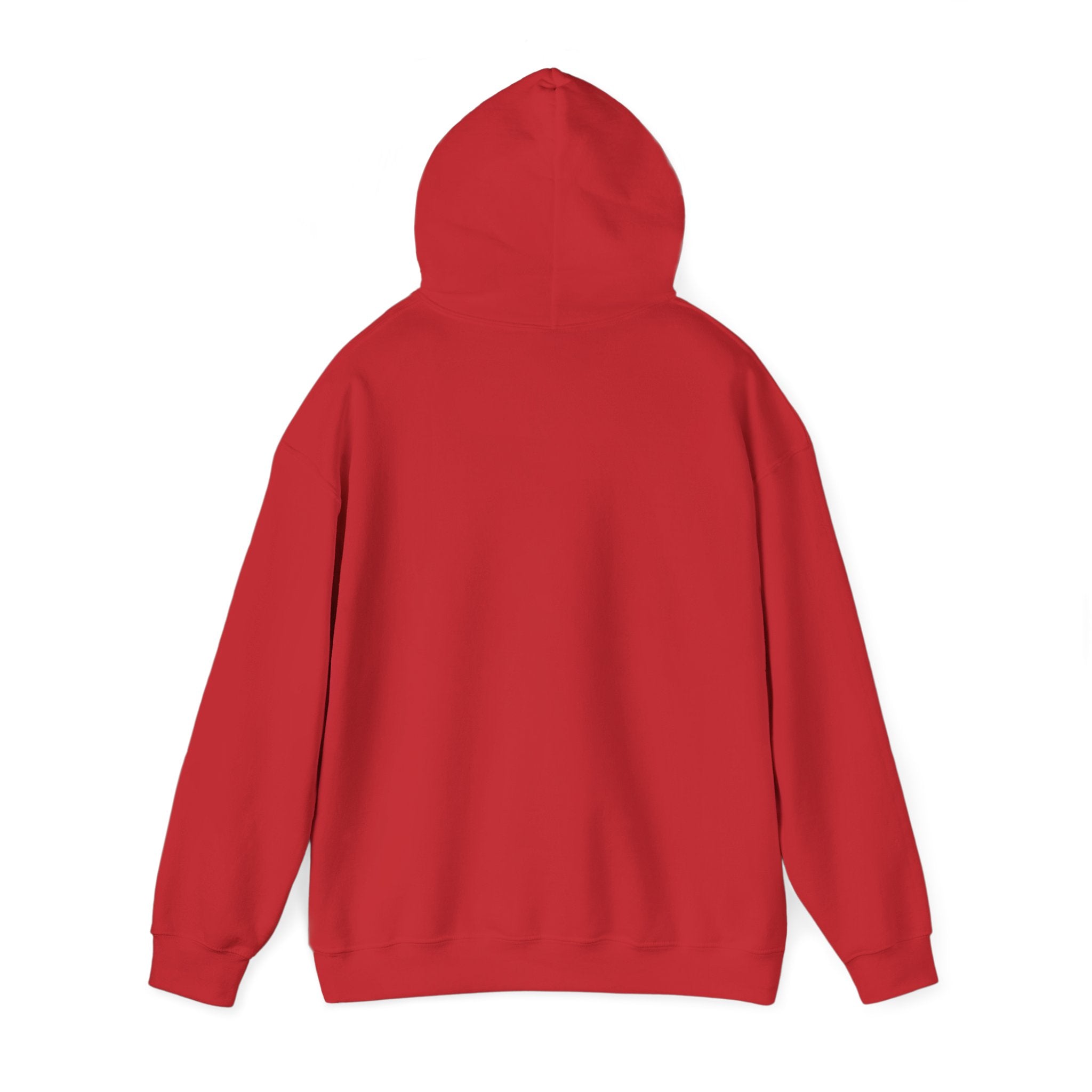 Red hoodie  back view