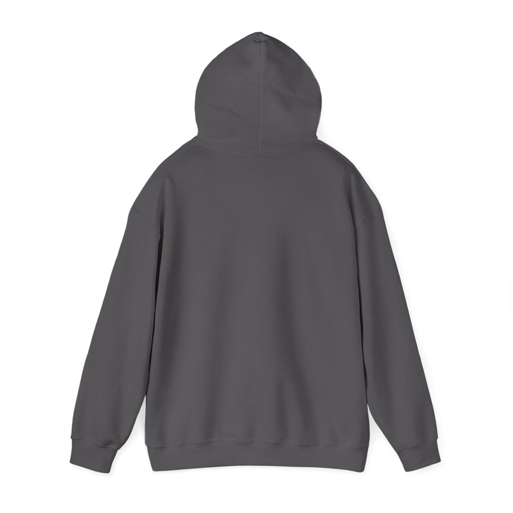 Charcoal Gray hoodie back