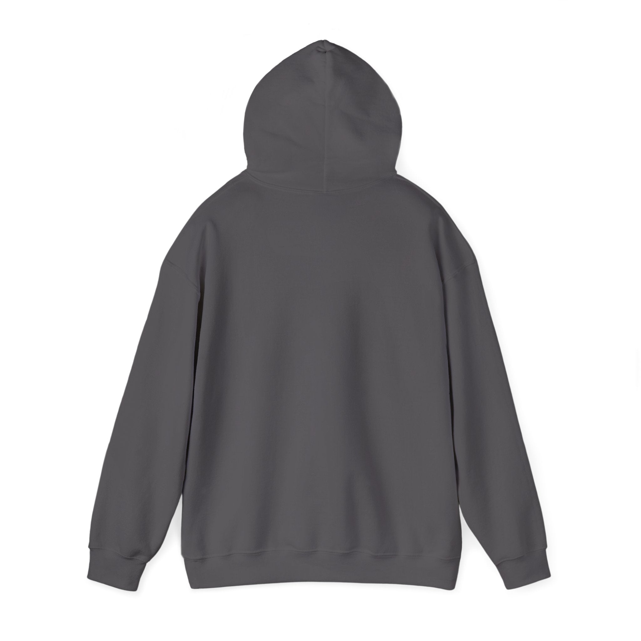Charcoal Gray hoodie back