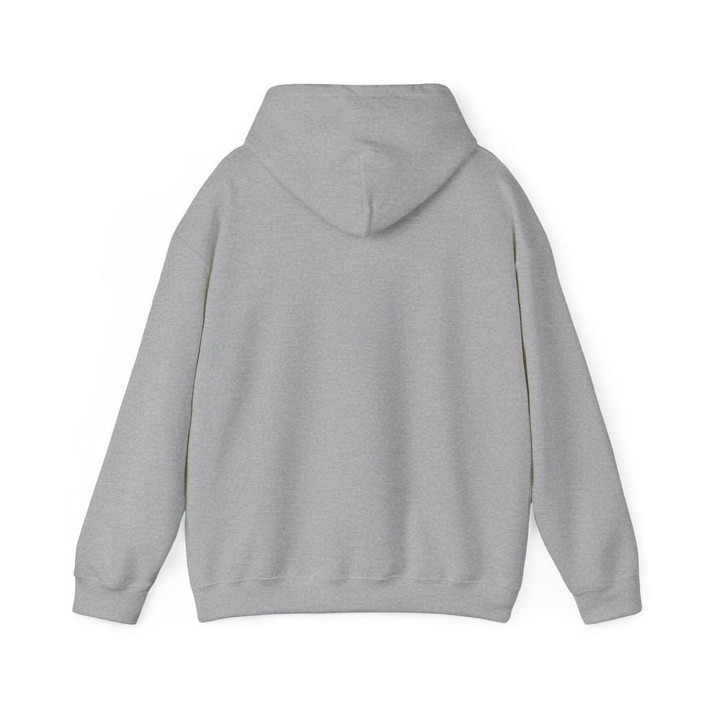 Sports Gray hoodie back
