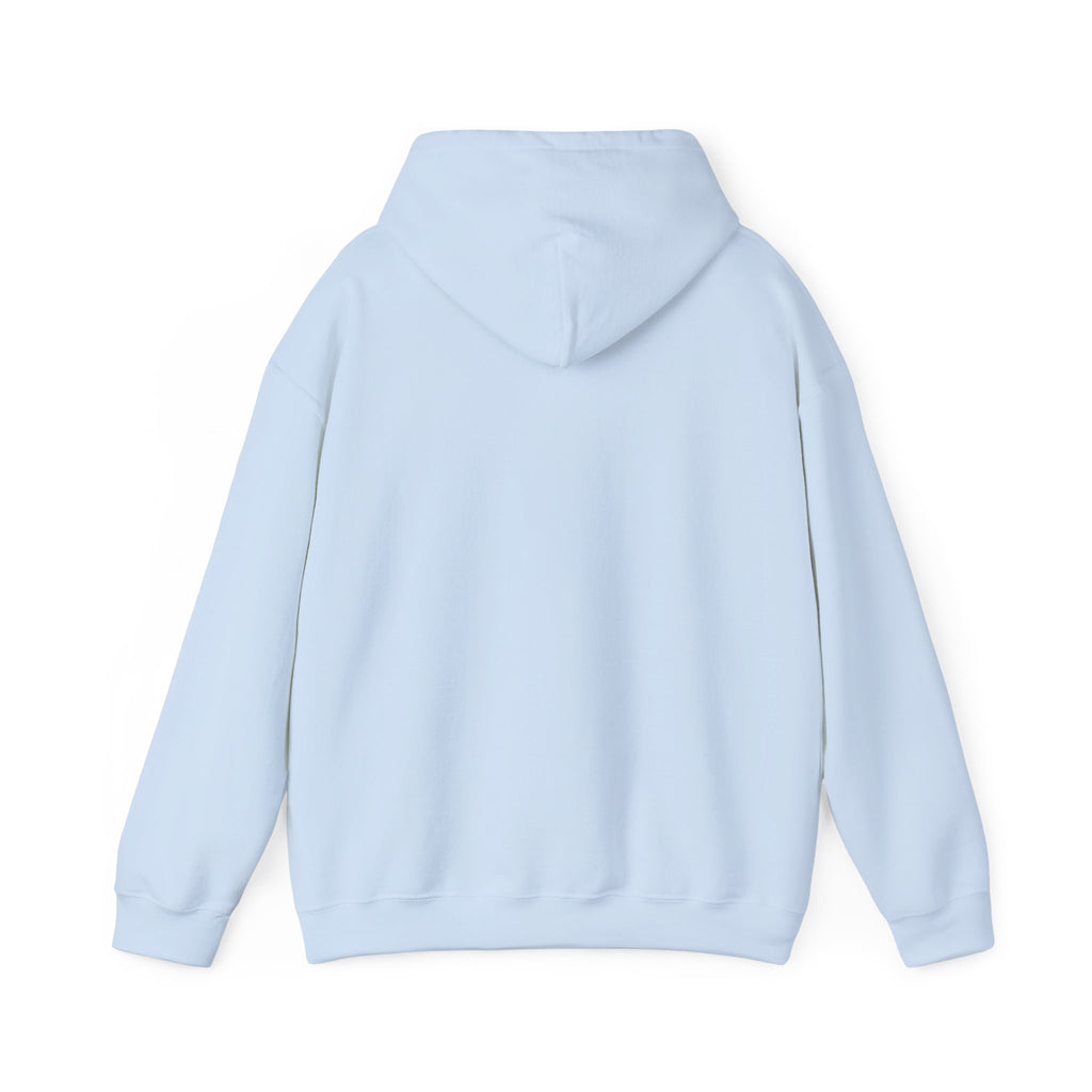 Light blue hoodie  back view
