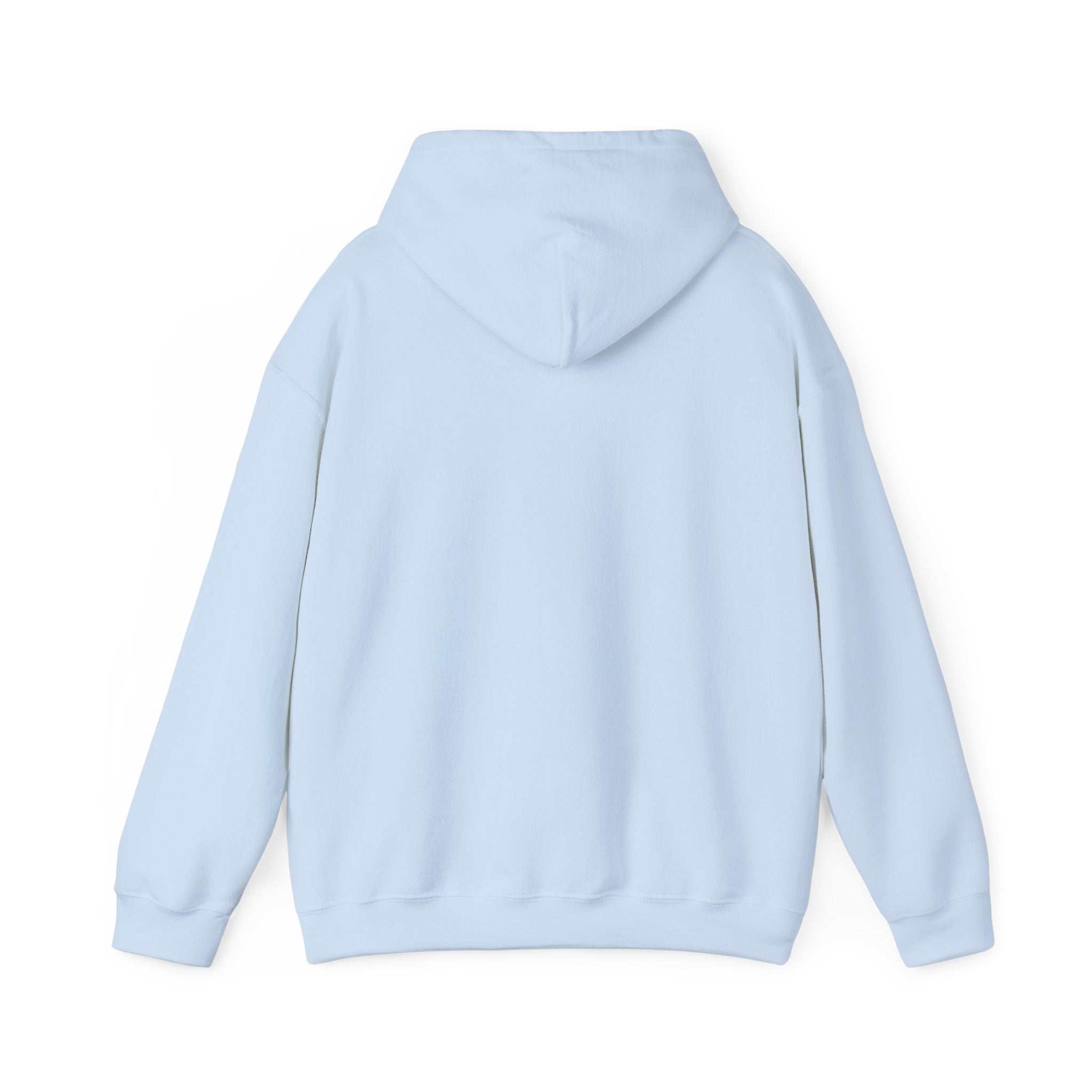 Light blue hoodie  back view