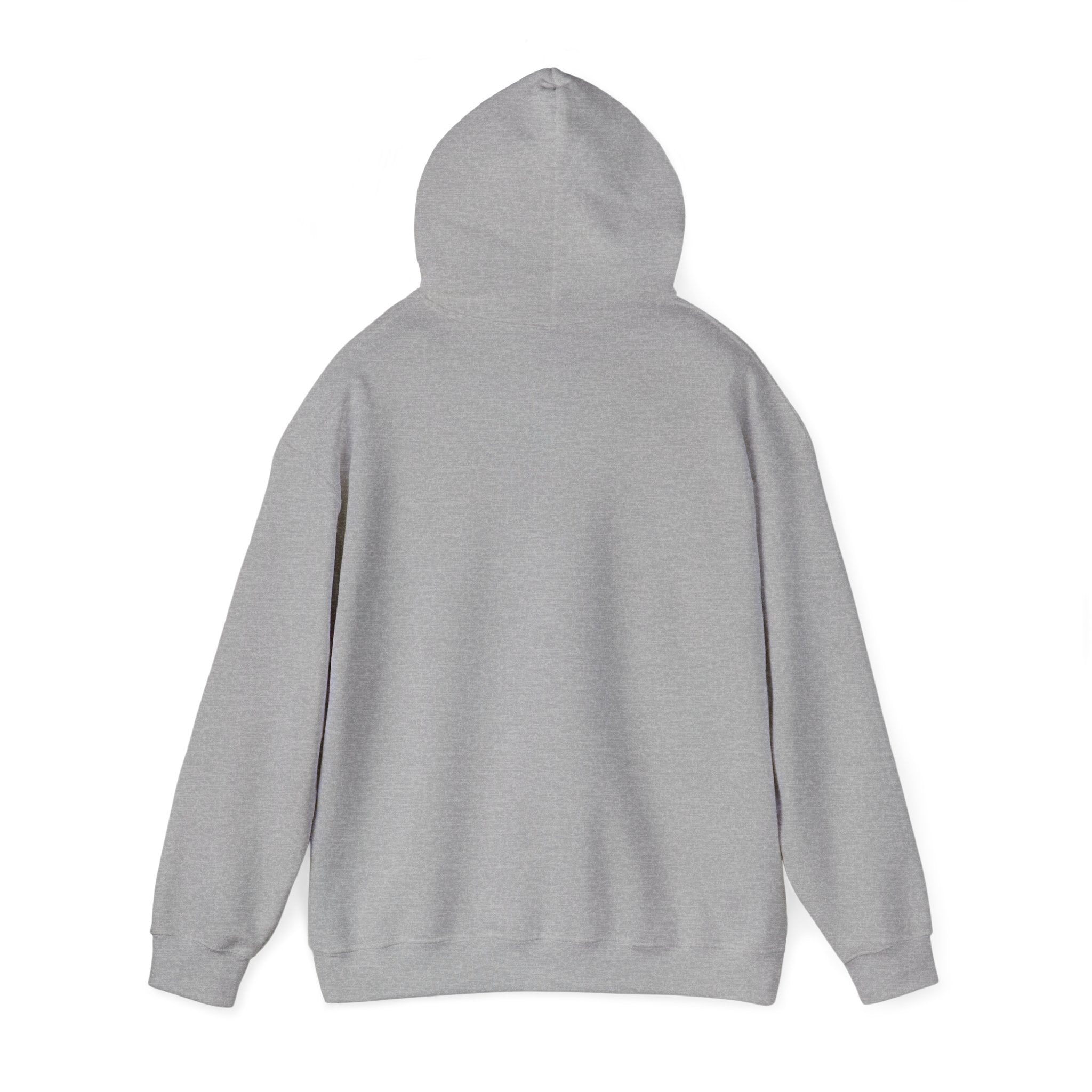 Sports Gray hoodie  back