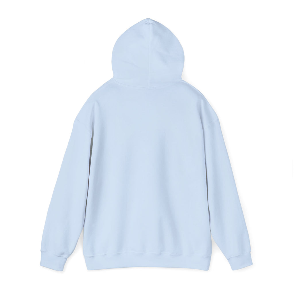 Light blue hoodie  back view