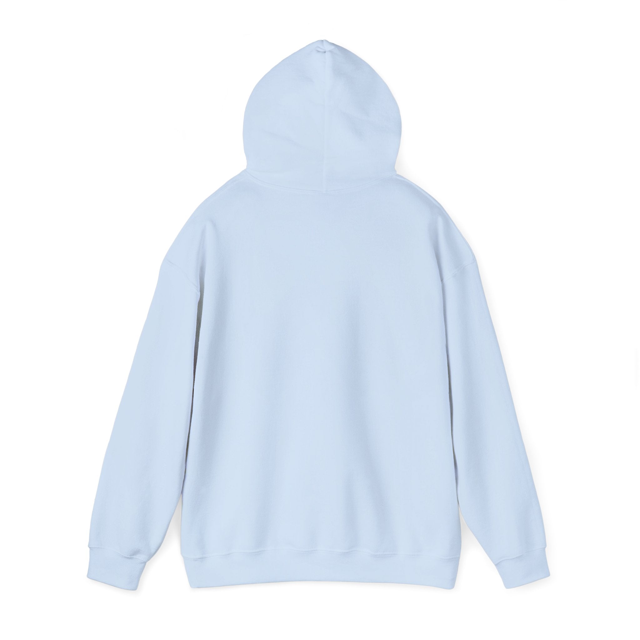 Light blue hoodie  back view