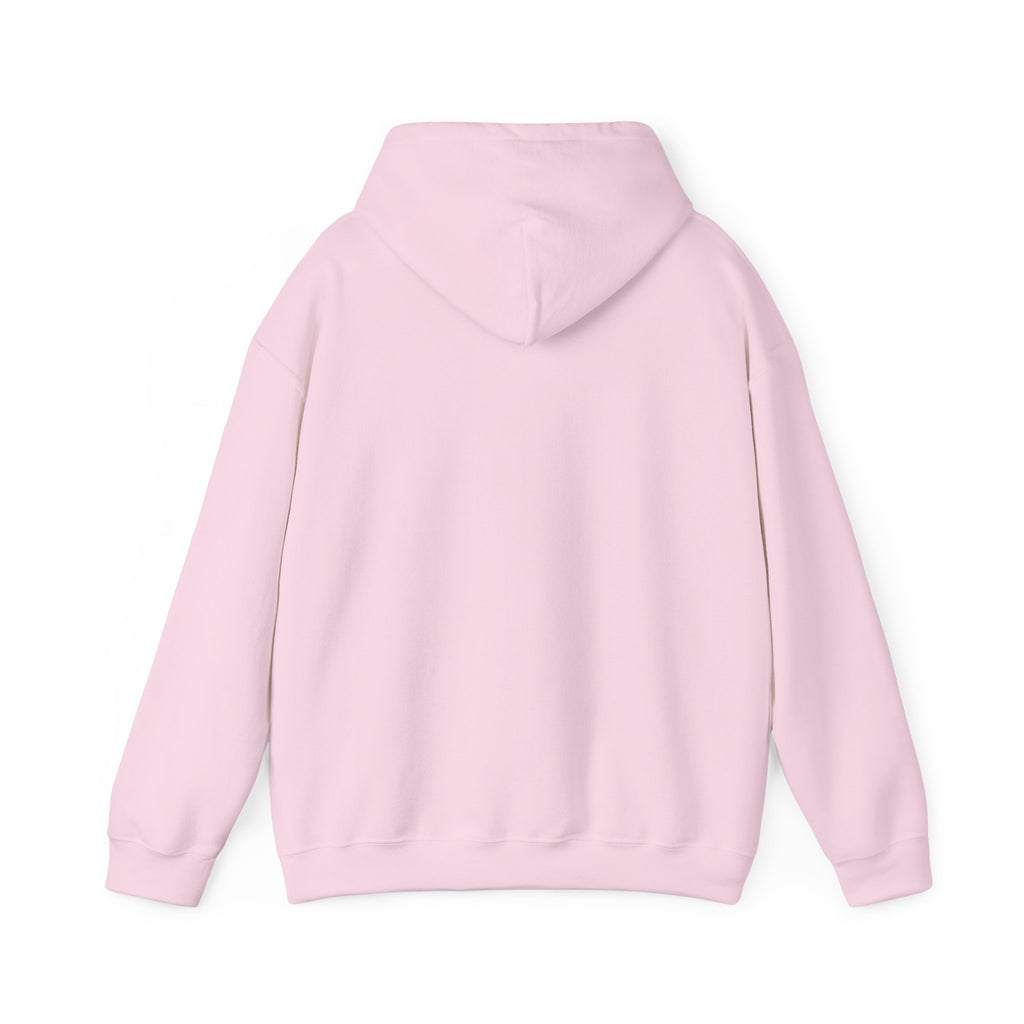 Light Pink hoodie  back